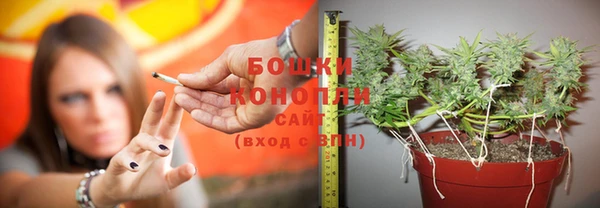 эйфоретик Заволжье