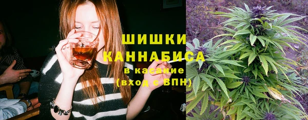 трава Заводоуковск