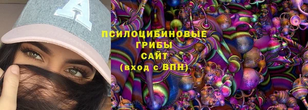 трава Заводоуковск