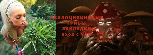 дживик Заволжск